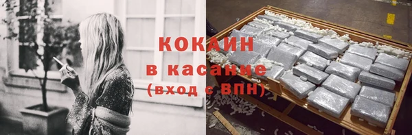 гашик Майский