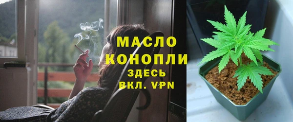 гашик Майский