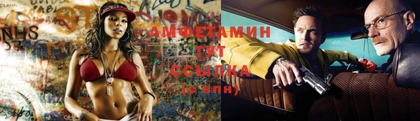 гашик Майский