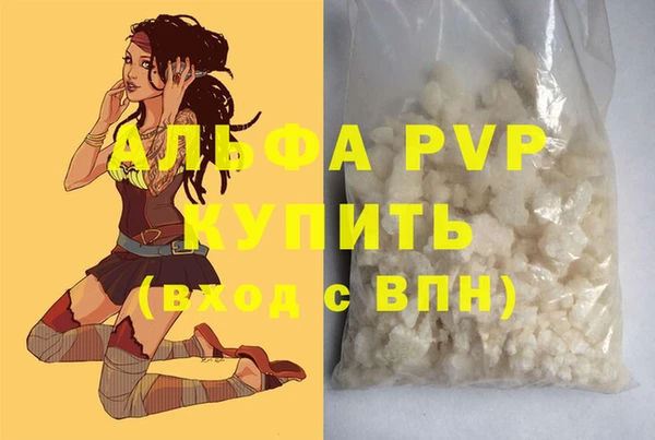 гашик Майский