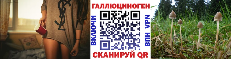 Галлюциногенные грибы Psilocybine cubensis купить закладку Комсомольск